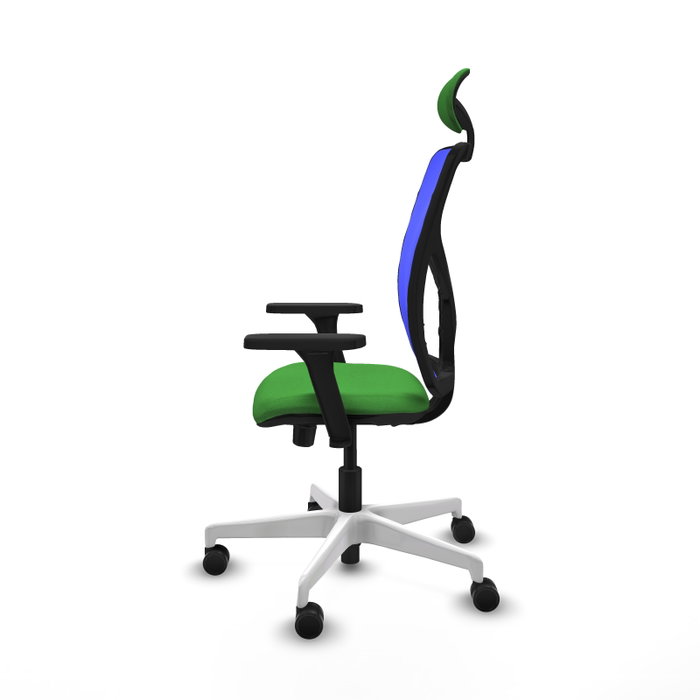 PIQUERAS Y CRESPO Silla de oficina Motilla con mecanismo Sincro/Traslack, Verde y Azul PIQUERAS Y CRESPO Silla de oficina Motilla con mecanismo Sincro/Traslack, Verde y Azul