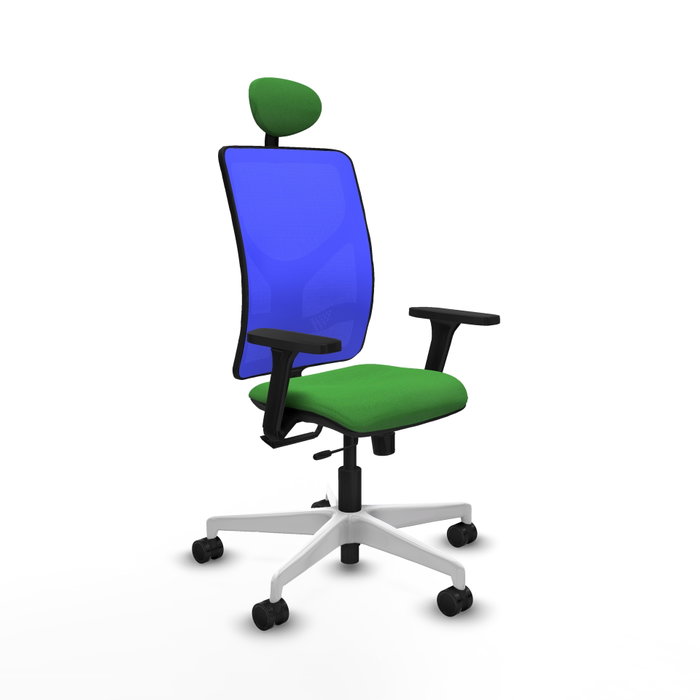 PIQUERAS Y CRESPO Silla de oficina Motilla con mecanismo Sincro/Traslack, Verde y Azul PIQUERAS Y CRESPO Silla de oficina Motilla con mecanismo Sincro/Traslack, Verde y Azul