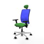 PIQUERAS Y CRESPO Silla de oficina Motilla con mecanismo Sincro/Traslack, Verde y Azul