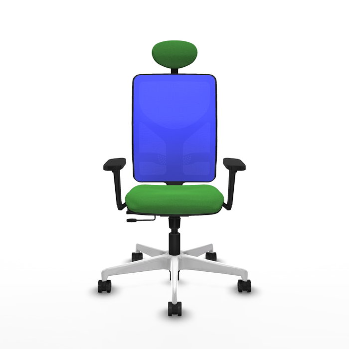 PIQUERAS Y CRESPO Silla de oficina Motilla con mecanismo Sincro/Traslack, Verde y Azul PIQUERAS Y CRESPO Silla de oficina Motilla con mecanismo Sincro/Traslack, Verde y Azul