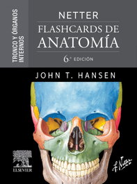 ELSEVIER EDITORIAL Netter flashcards de anatomia: tronco y organos internos