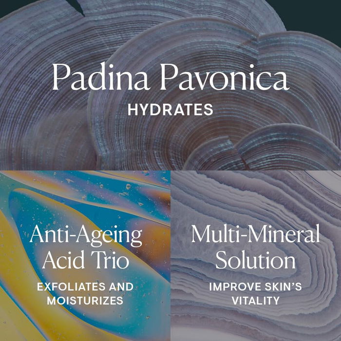 Elemis PRO-COLLAGEN Energising Marine Cleanser - Limpiador Facial Energizante de 50 ml con Colágeno, Minerales y Ácidos para Piel Renovada Elemis PRO-COLLAGEN Energising Marine Cleanser - Limpiador Facial Energizante de 50 ml con Colágeno, Minerales y Ácidos para Piel Renovada