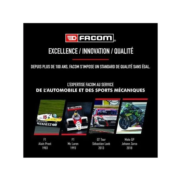 Facom AAAQG37652 Agente Anticristalizante Universal Urea 250 ml