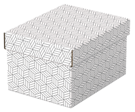 Esselte Caja de Almacenamiento Blanca 628280 Pack 3 Cajas 255x200x150mm