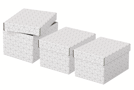 Esselte Caja de Almacenamiento Blanca 628280 Pack 3 Cajas 255x200x150mm
