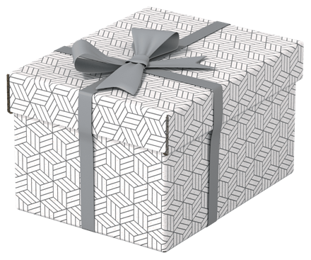 Esselte Caja de Almacenamiento Blanca 628280 Pack 3 Cajas 255x200x150mm