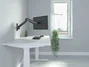 Equip Soporte de Pared para Monitor 17-32 Pulgadas, Brazo de Resorte de Gas
