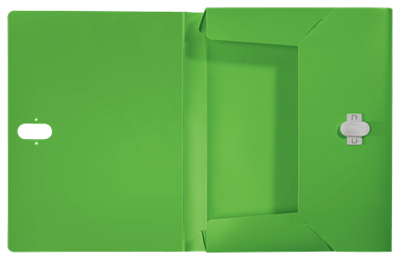 Leitz Carpeta de Proyectos Recycle Verde DIN A4 con Lomo de 38 mm