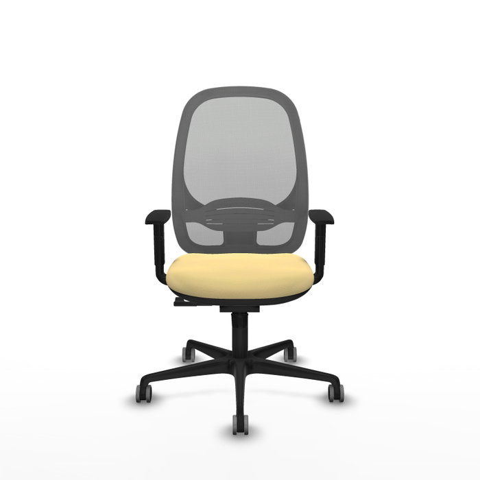 PIQUERAS Y CRESPO Silla de oficina Cilanco con mecanismo Sincro, Crema y Gris PIQUERAS Y CRESPO Silla de oficina Cilanco con mecanismo Sincro, Crema y Gris