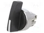 SCHNEIDER ELECTRIC Interruptor Rotativo Harmony XB4 Negro 22mm