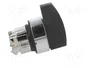SCHNEIDER ELECTRIC Interruptor Rotativo Harmony XB4 Negro 22mm