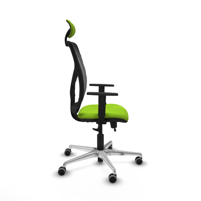 PIQUERAS Y CRESPO Silla de oficina Motilla con mecanismo Sincro/Traslack, Pistacho y Negro PIQUERAS Y CRESPO Silla de oficina Motilla con mecanismo Sincro/Traslack, Pistacho y Negro