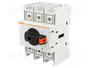 LOVATO ELECTRIC Interruptor de aislamiento GA 3 polos 63A