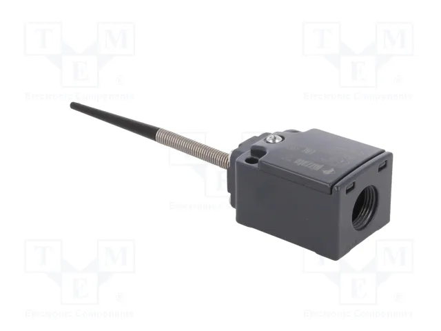 PIZZATO ELETTRICA Interruptor de fin de carrera FC 320 NO + NC 6A 400VAC IP67