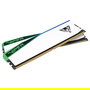 Patriot Memory Viper Elite 5 RGB DDR5 32GB Kit (2x16GB) 7000MHz CL38 PC7000 PE936 DIMM con disipador térmico