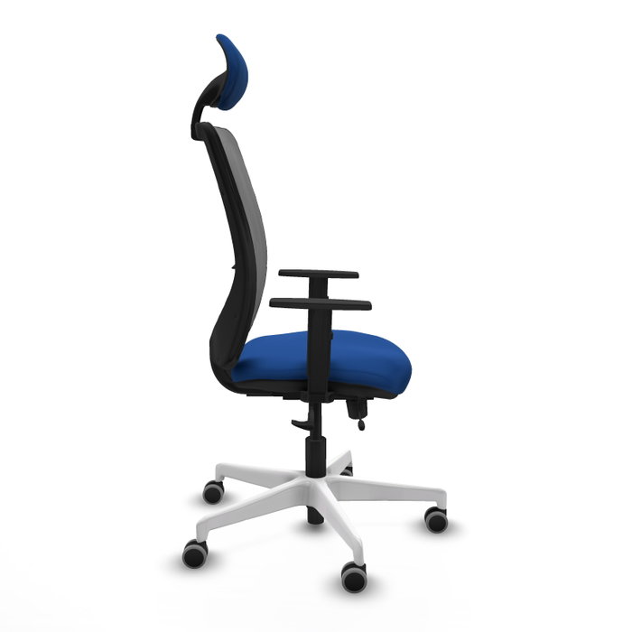 PIQUERAS Y CRESPO Silla de oficina Zulema con mecanismo Sincro/Traslack, Azul y Gris PIQUERAS Y CRESPO Silla de oficina Zulema con mecanismo Sincro/Traslack, Azul y Gris