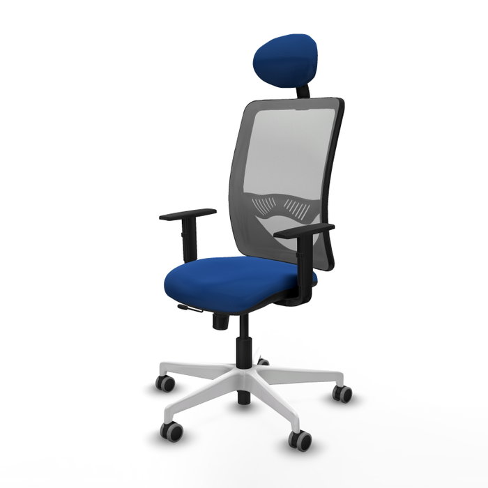 PIQUERAS Y CRESPO Silla de oficina Zulema con mecanismo Sincro/Traslack, Azul y Gris PIQUERAS Y CRESPO Silla de oficina Zulema con mecanismo Sincro/Traslack, Azul y Gris