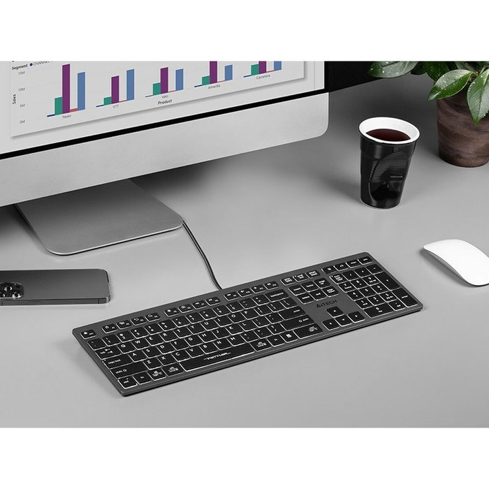 A4-Tech Fstyler FX60H Gris