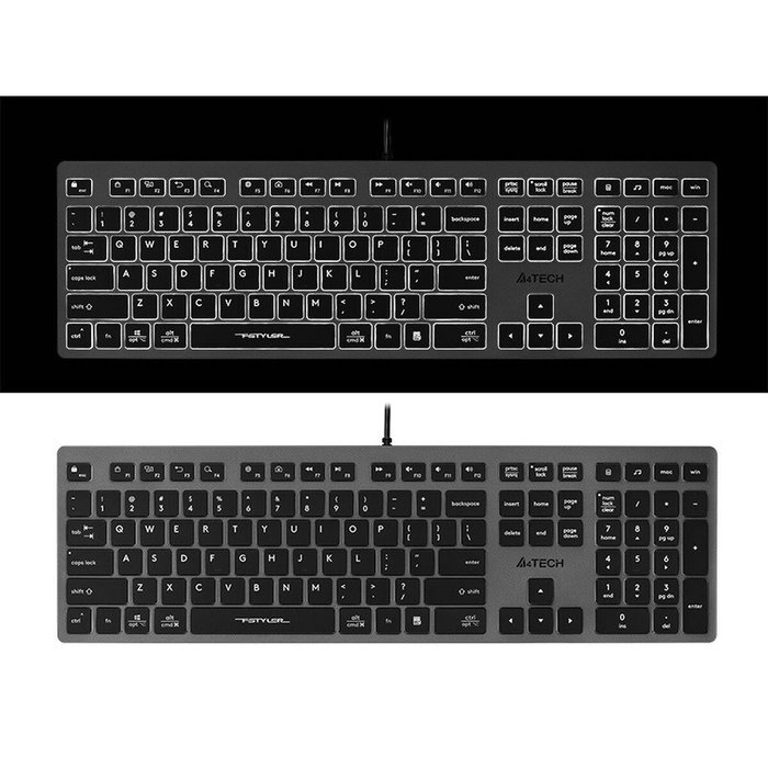 A4-Tech Fstyler FX60H Gris