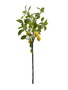 Oplante Vara Decorativa de Limonero Artificial, Rama de Flores con 5 Limones Amarillos, 120 cm de Largo, Material Plástico