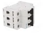 EATON ELECTRIC FAZ-K25/3 Interruptor magnetotérmico 3 polos 25A 15kA
