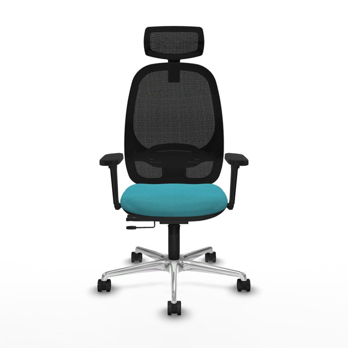 PIQUERAS Y CRESPO Silla de oficina Cilanco con mecanismo Sincro/Traslack, Turquesa y Negro PIQUERAS Y CRESPO Silla de oficina Cilanco con mecanismo Sincro/Traslack, Turquesa y Negro