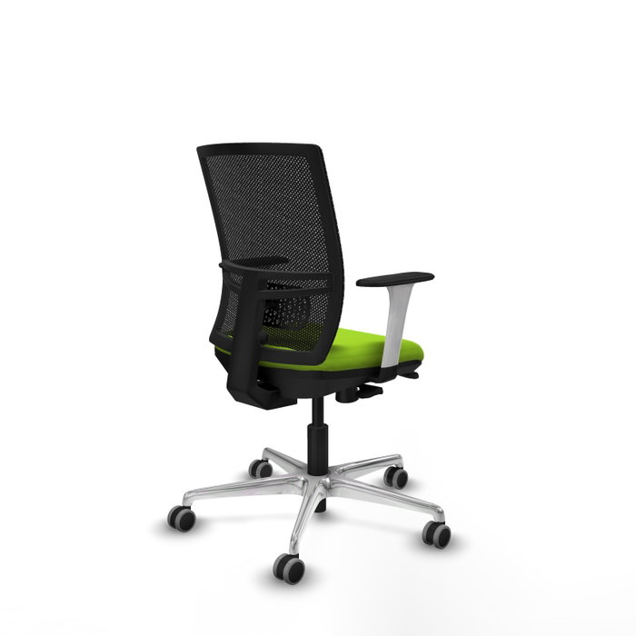 PIQUERAS Y CRESPO Silla de oficina Yunquera con mecanismo Sincro/Traslack, Pistacho y Negro PIQUERAS Y CRESPO Silla de oficina Yunquera con mecanismo Sincro/Traslack, Pistacho y Negro