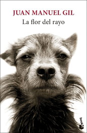 BOOKET, La flor del rayo, Juan Manuel Gil