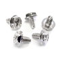 StarTech.com Tornillos de Fijación #6-32 x 1/4 Pulgadas Largo para PC - Pack de 50 Unidades