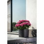 Garden Id Maceta con reserva de agua Respect Negro-Anth 20 x 20 cm