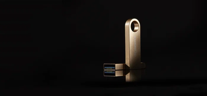 Kingston DataTraveler SE9 G3 512 GB Oro