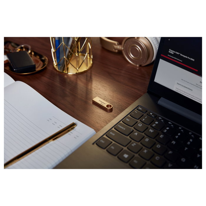 Kingston DataTraveler SE9 G3 512 GB Oro