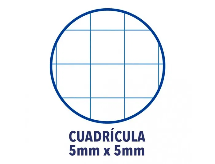 Oxford Recambio Color 1 Din A4+ 80 Hojas 90 gr Cuadro 5 mm 4 Taladros Azul Oscuro