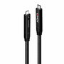 LINDY Cable Híbrido USB C a USB C 10 m USB 3.2 Gen 1 Negro
