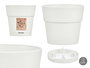 Stefanplast Maceta Plástico Blanca 15 cm con Reserva de Agua (Set de 12)