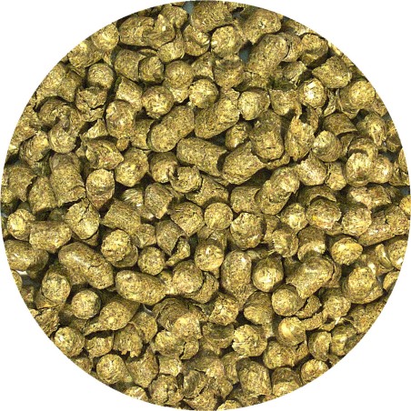 ZooMed Alimento Completo Tortuga de Tierra 325 g ZooMed Alimento Completo Tortuga de Tierra 325 g