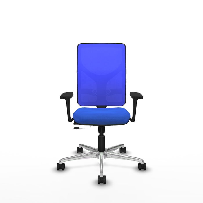 PIQUERAS Y CRESPO Silla de oficina Motilla con mecanismo Sincro/Traslack Azul PIQUERAS Y CRESPO Silla de oficina Motilla con mecanismo Sincro/Traslack Azul