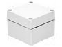 FIBOX MNX Carcasa Universal Gris ABS 100x100x75mm