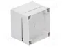 FIBOX MNX Carcasa Universal Gris ABS 100x100x75mm