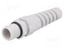 BM GROUP Sello aislante PG9 con manguito IP68