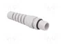 BM GROUP Sello aislante PG9 con manguito IP68
