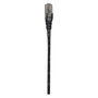 Intellinet Patchkabel RJ45 U/UTP Cat6 10m Negro