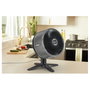 Shark FlexBreeze TableMate FA150EU Ventilador de Mesa con o sin Cable