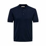 Polo de Manga Corta Hombre Only & Sons Onswyler Life Reg 14 Ss Knit Stormy Ø 42 cm