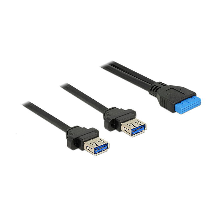 DeLOCK 85244 Cable USB 3.0 Pfostenbuchse 19 Pin a 2 x USB 3.0 Tipo-A Hembra 80 cm DeLOCK 85244 Cable USB 3.0 Pfostenbuchse 19 Pin a 2 x USB 3.0 Tipo-A Hembra 80 cm