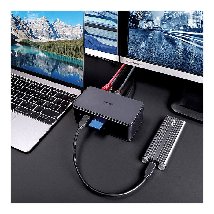 Lindy Docking Station USB4 con 100W PD, HDMI 2.1, DisplayPort 1.4, Ethernet Gigabit, Lector de Tarjetas para Laptop, Antracita, Modelo 43372