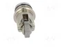 TELEMECANIQUE SENSORS ZCE02 Cabezal de accionamiento con roldana metálica Ø11,6mm