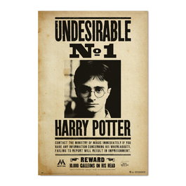 ERIK Poster Indeseable Numero 1 Harry Potter 91,5x61cm