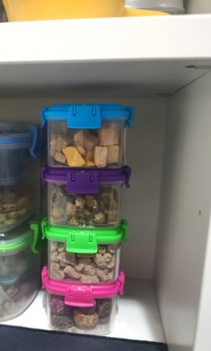 Privilege Set 4 Mini Fiambreras 65ml | Largo 6 cm, Ancho 6 cm, Alto 3.8 cm (24 Unidades)