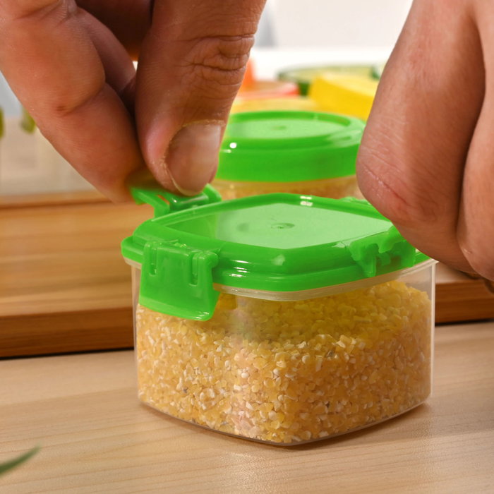 Privilege Set 4 Mini Fiambreras 65ml | Largo 6 cm, Ancho 6 cm, Alto 3.8 cm (24 Unidades)